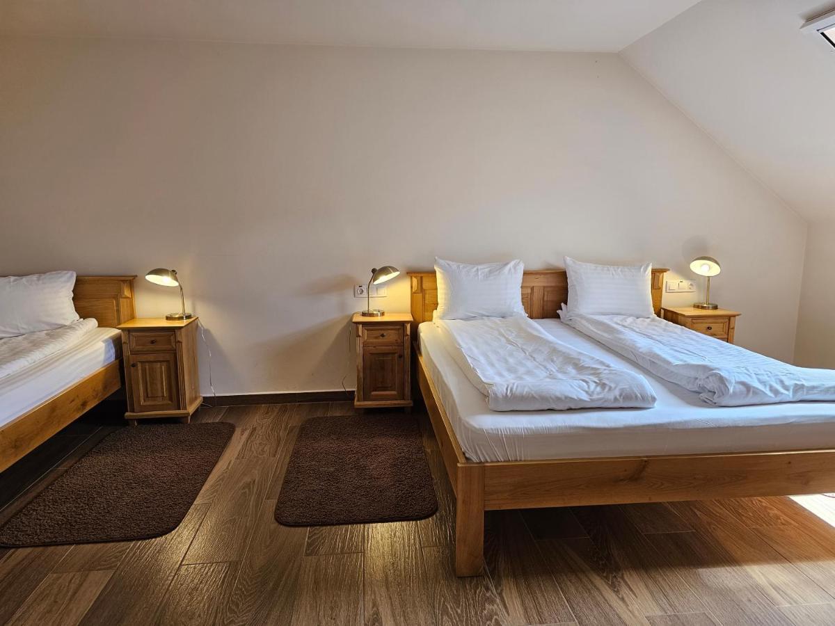 Отель Pension Aquaris Сигишоара Экстерьер фото