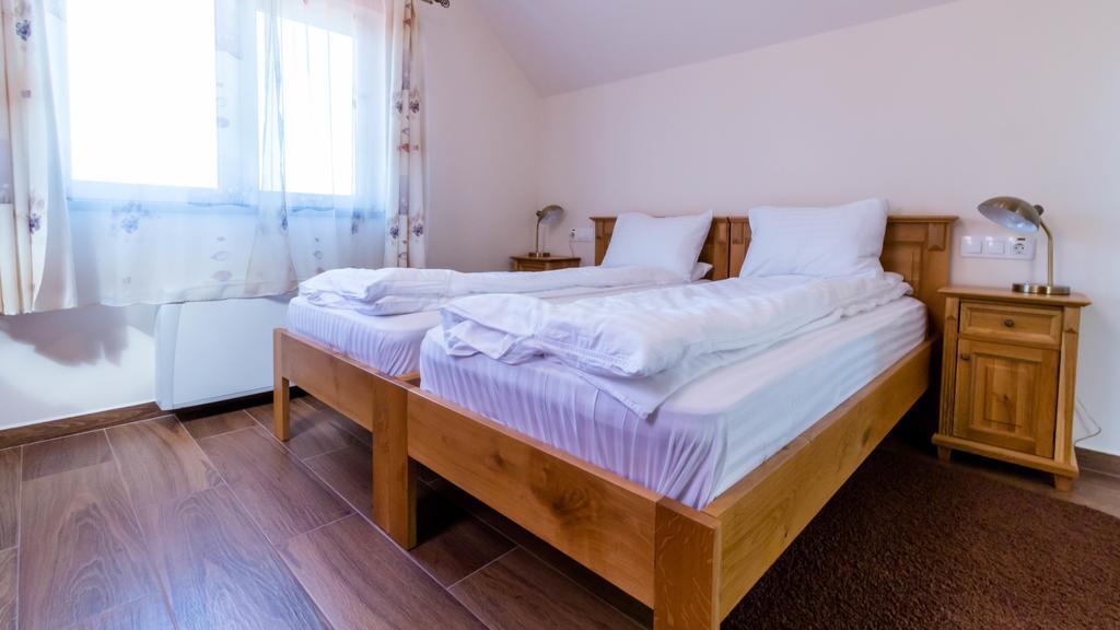 Отель Pension Aquaris Сигишоара Экстерьер фото